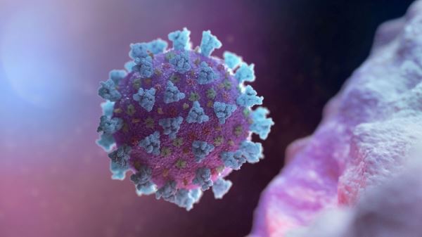 Ученые установили практически неуязвимую для коронавируса категорию людей